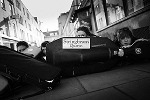 Stringbeans Quartet