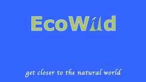 Ecowild
