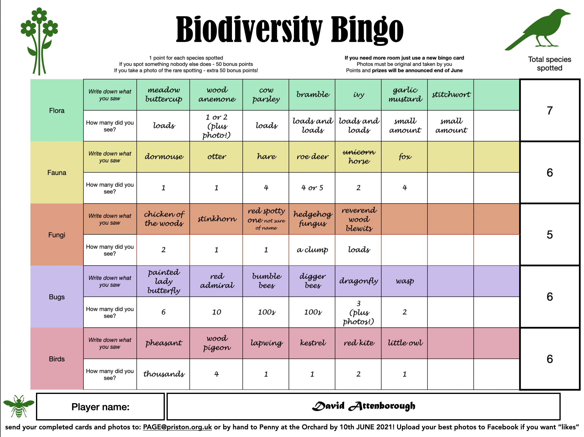 Biodiversity Bingo Card example