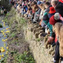 Duck Race 2026