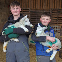 Lambing 2021 thumbnail